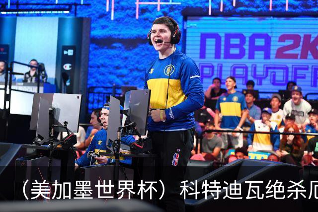 （美加墨世界杯）科特迪瓦绝杀厄瓜多尔 瑞典5:1大胜突尼斯